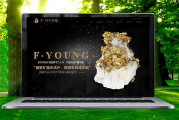 ¤�ϸ������ﱦʯ